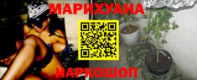 сатива Малгобек